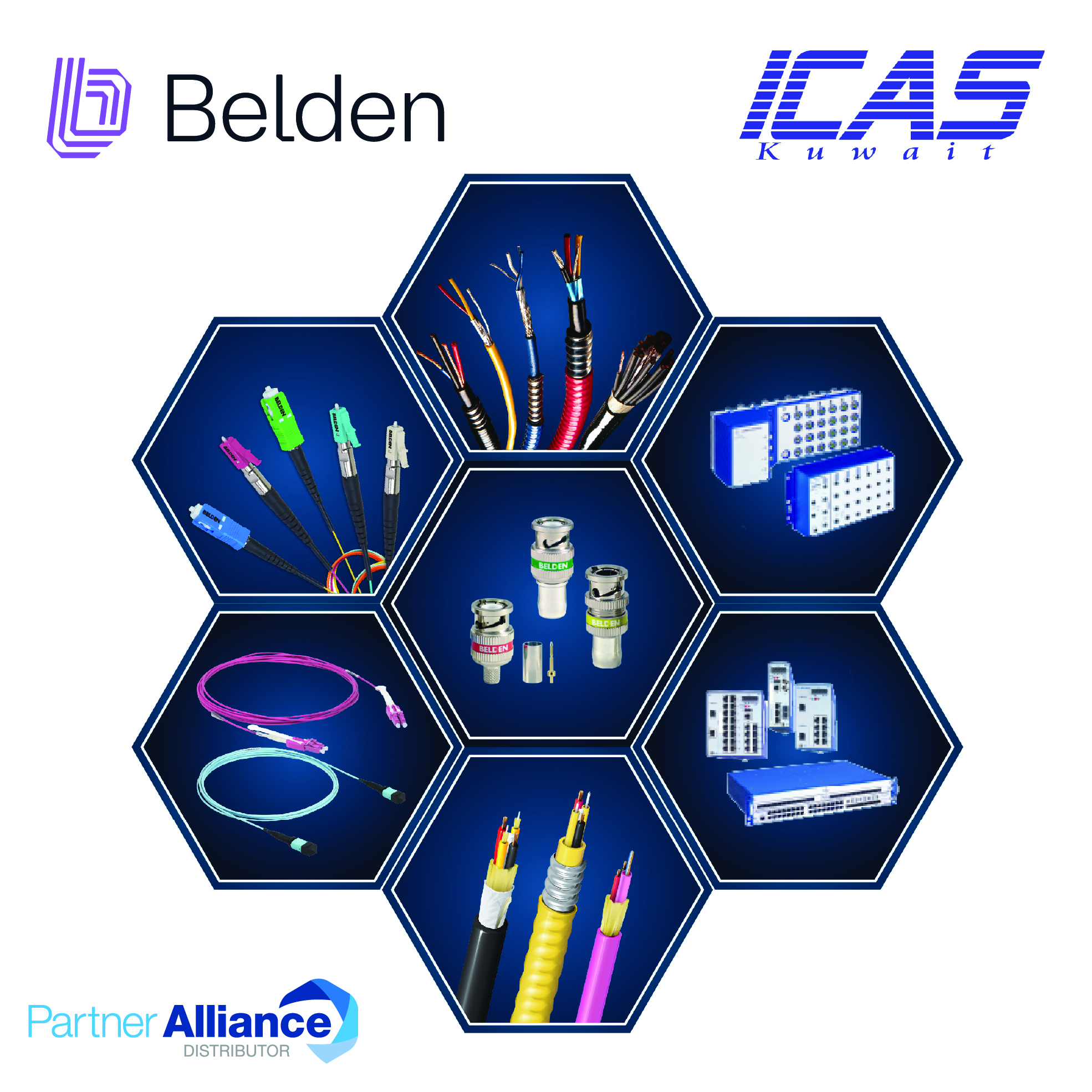Belden image
